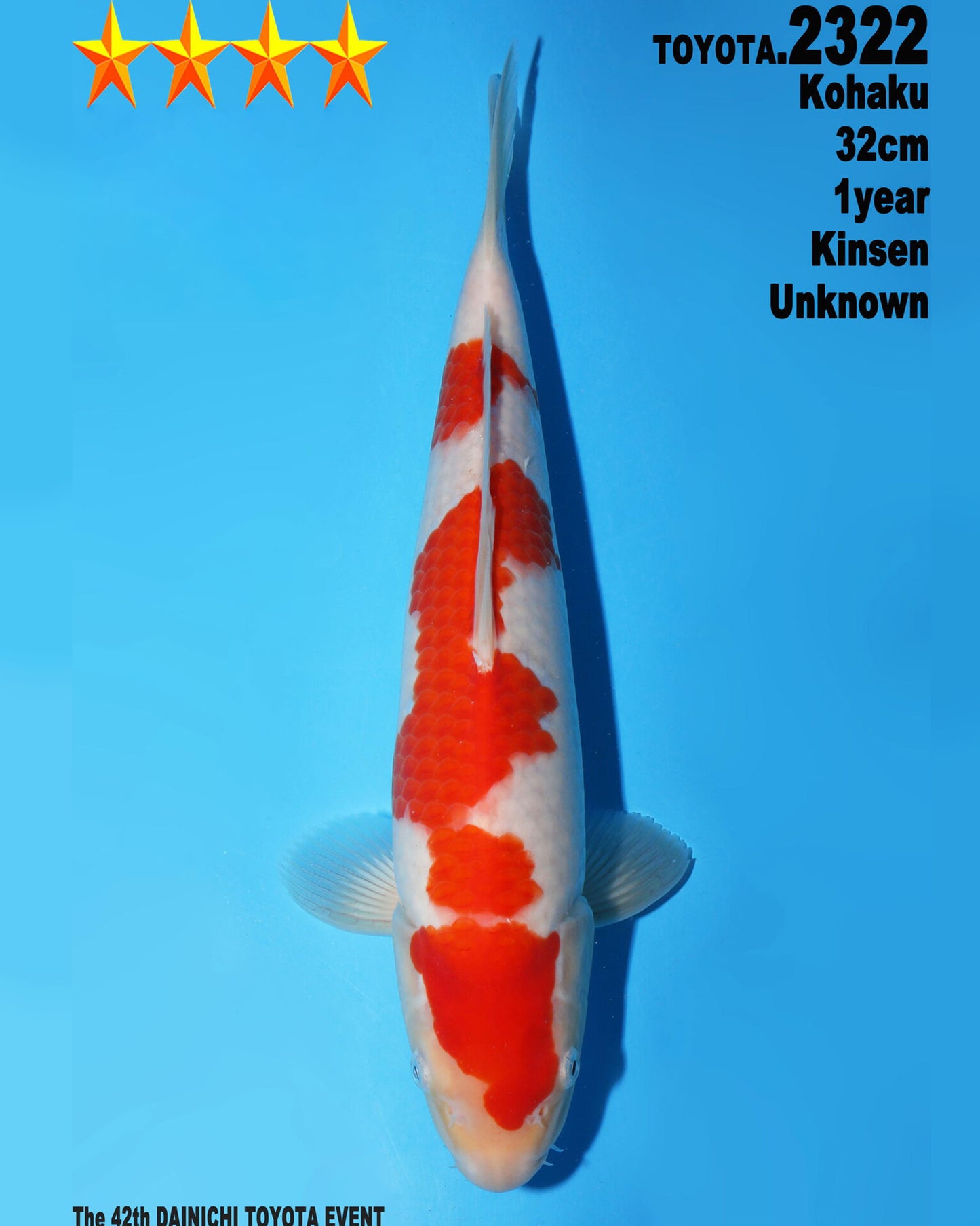 Kohaku