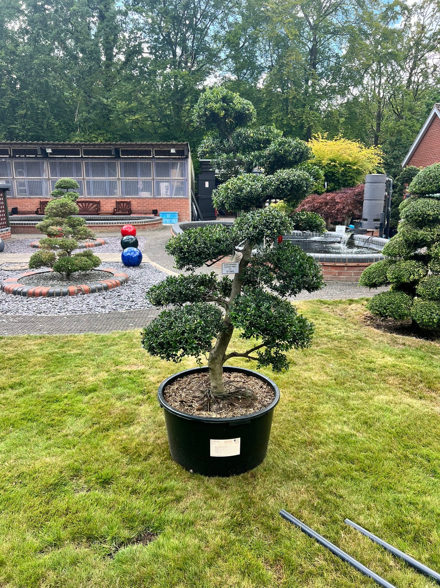 Cloud Tree 2 - 165cm