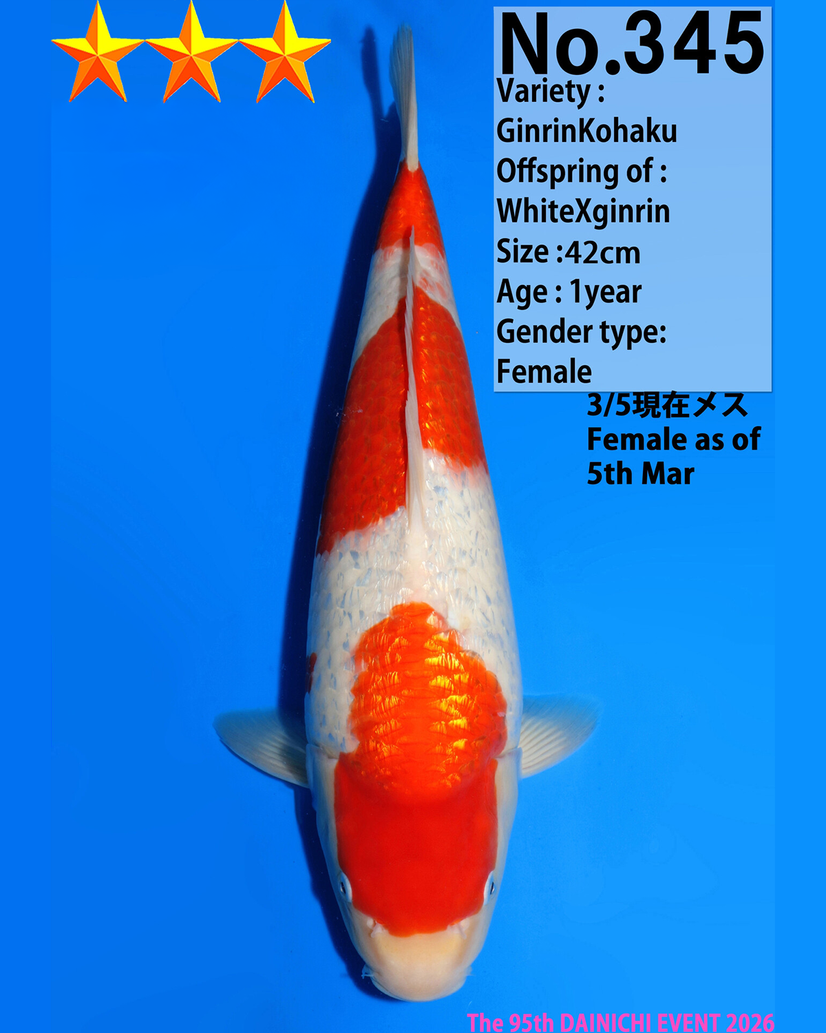 Ginrin Kohaku