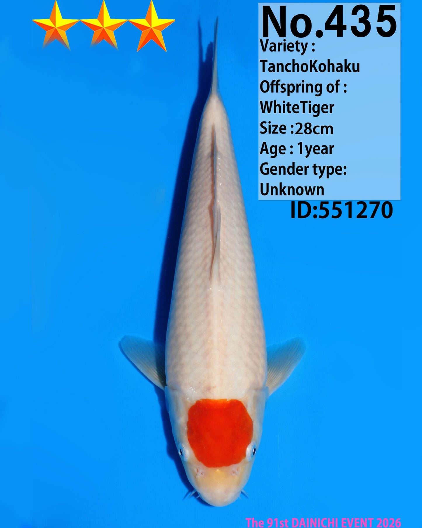 Tancho Kohaku