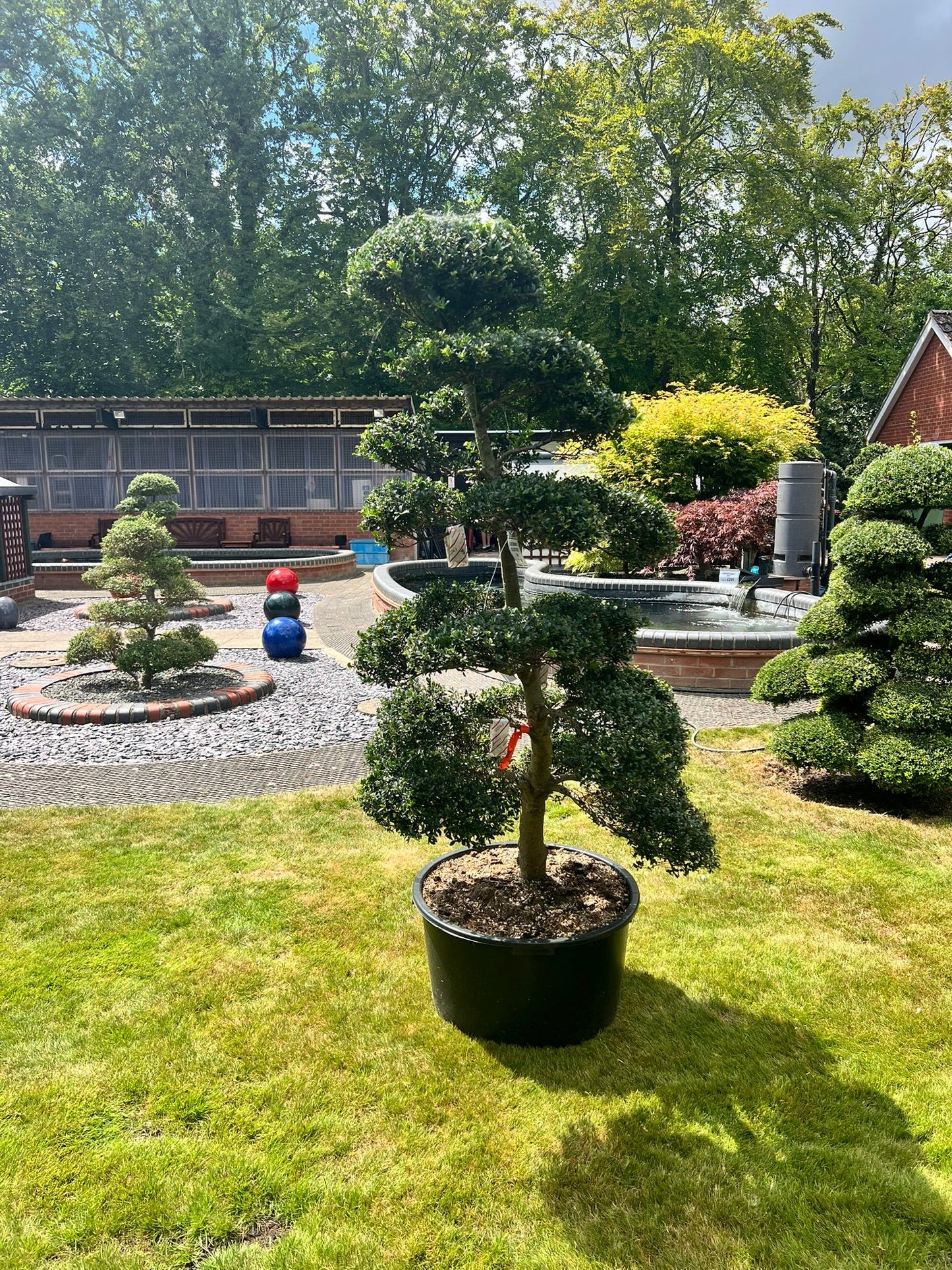 Cloud Tree 8 - 170cm