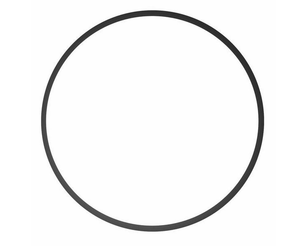 Spare O Ring EconoBead Lid - Selective Koi Sales