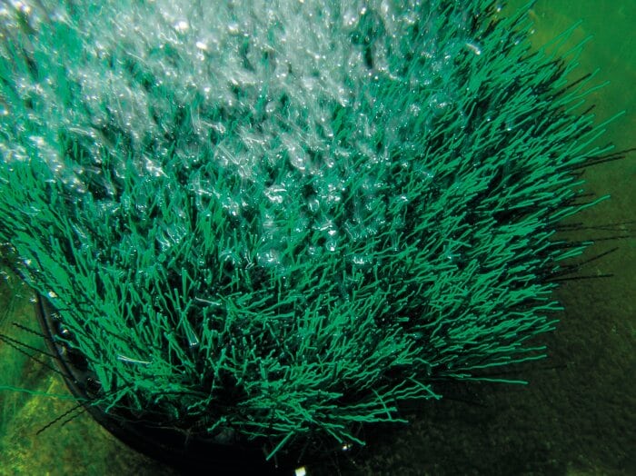 Oase Oxytex 400 - Selective Koi Sales