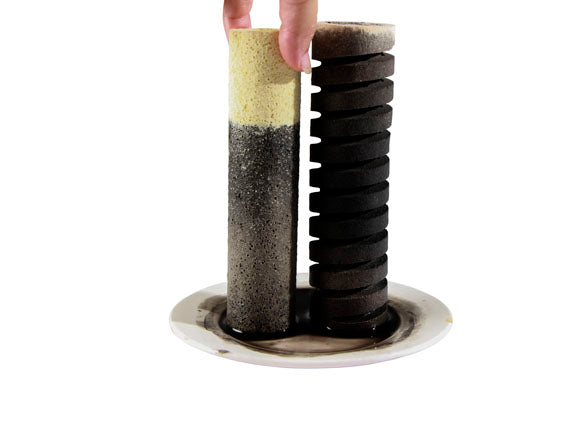 Mountain Tree Fresh Lotus Root Bacteria House Dia 4X16.5CM, 24 pieces in a box