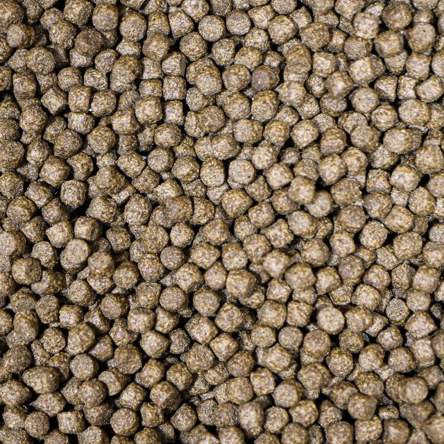 NT Labs Medikoi - Probiotic Growth 6mm - 5kg