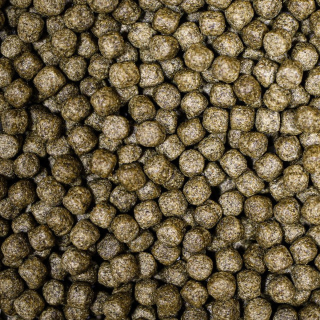 NT Labs Medikoi - Staple with colour 6mm - 5kg