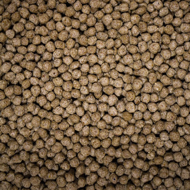 NT Labs Medikoi - Wheatgerm with Garlic 6mm - 5kg