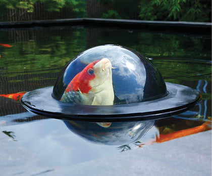 Viewing Sphere - Selective Koi Sales
