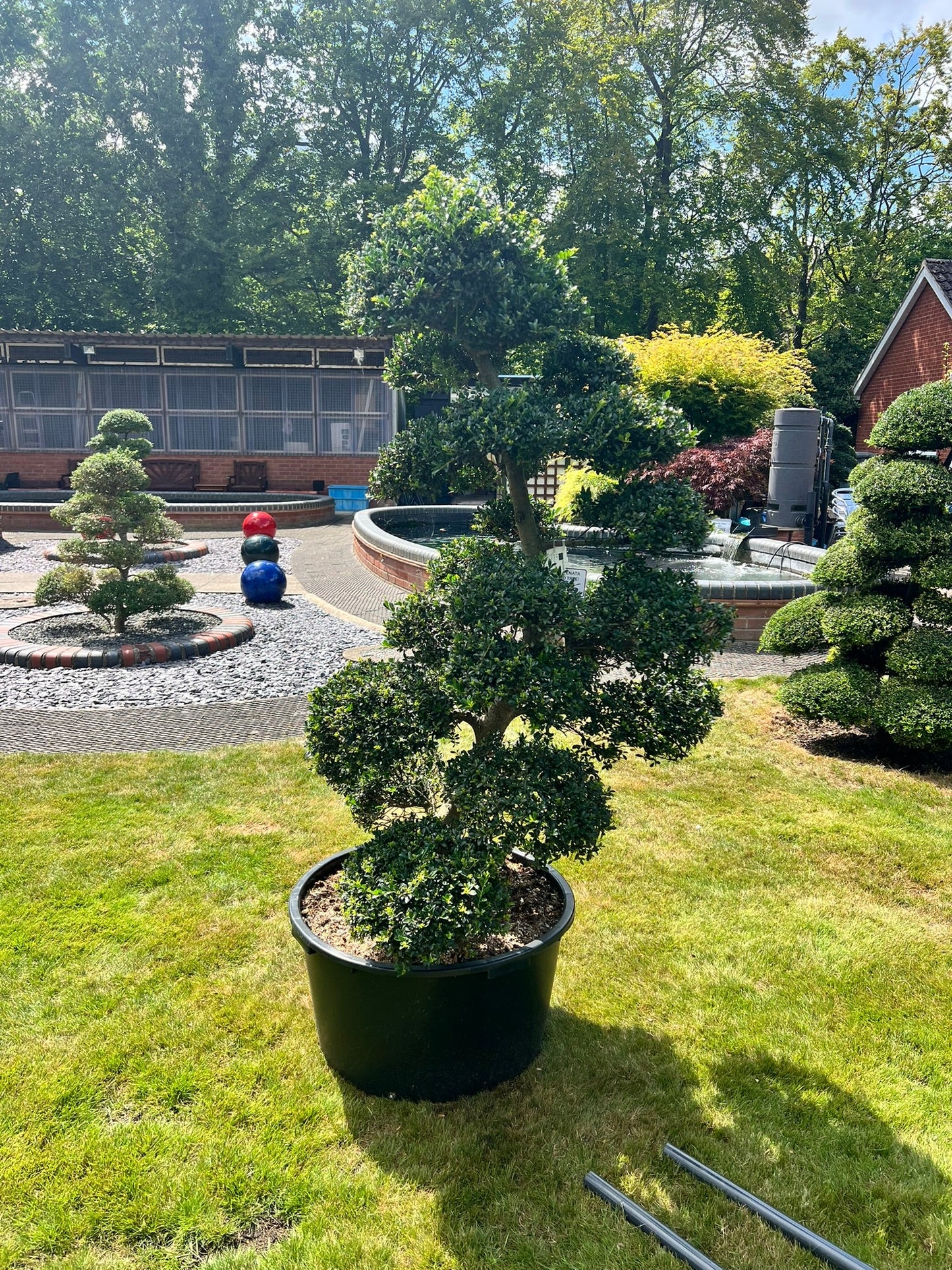 Cloud Tree 14 - 155cm