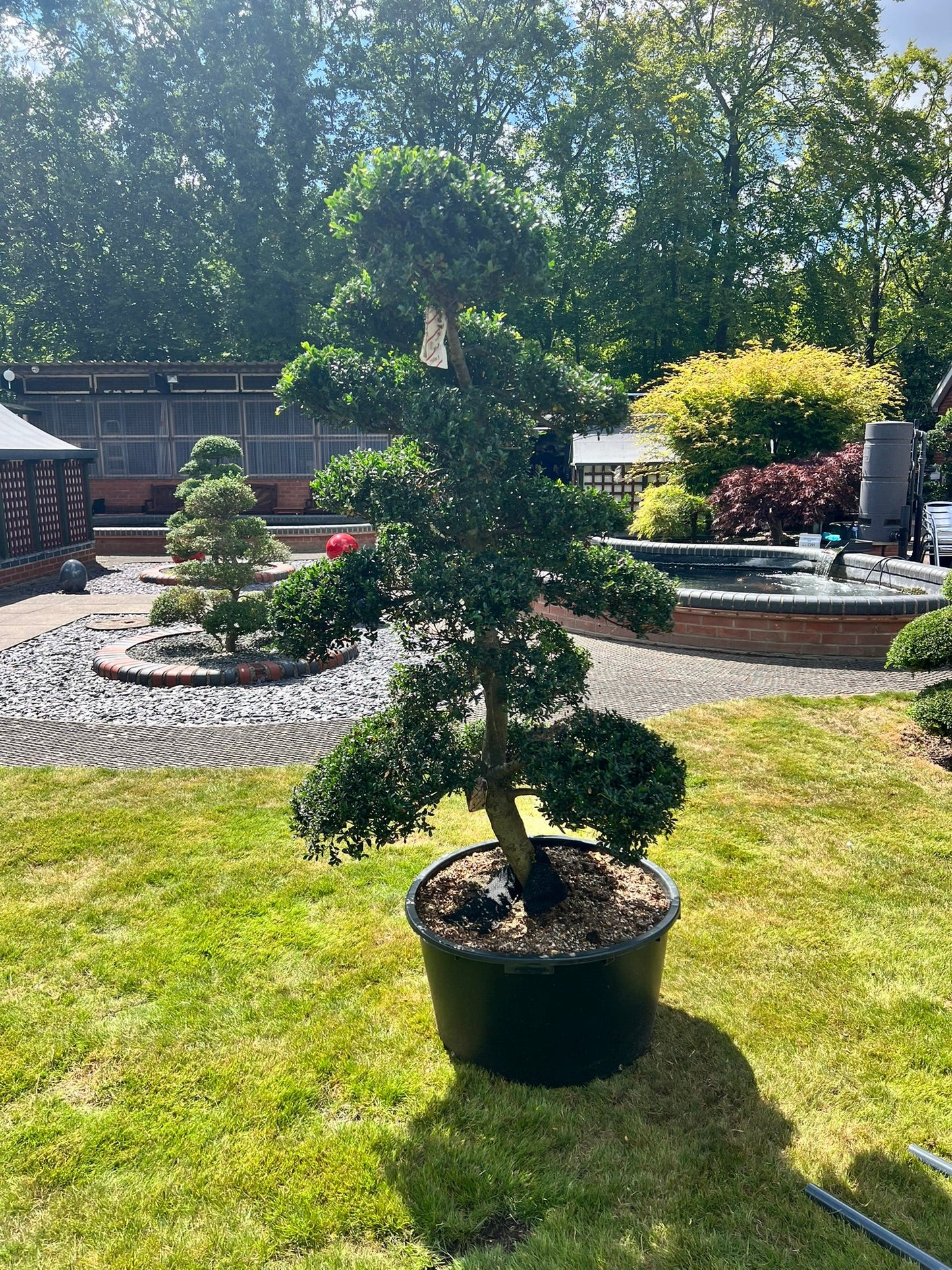 Cloud Tree 15 - 160cm