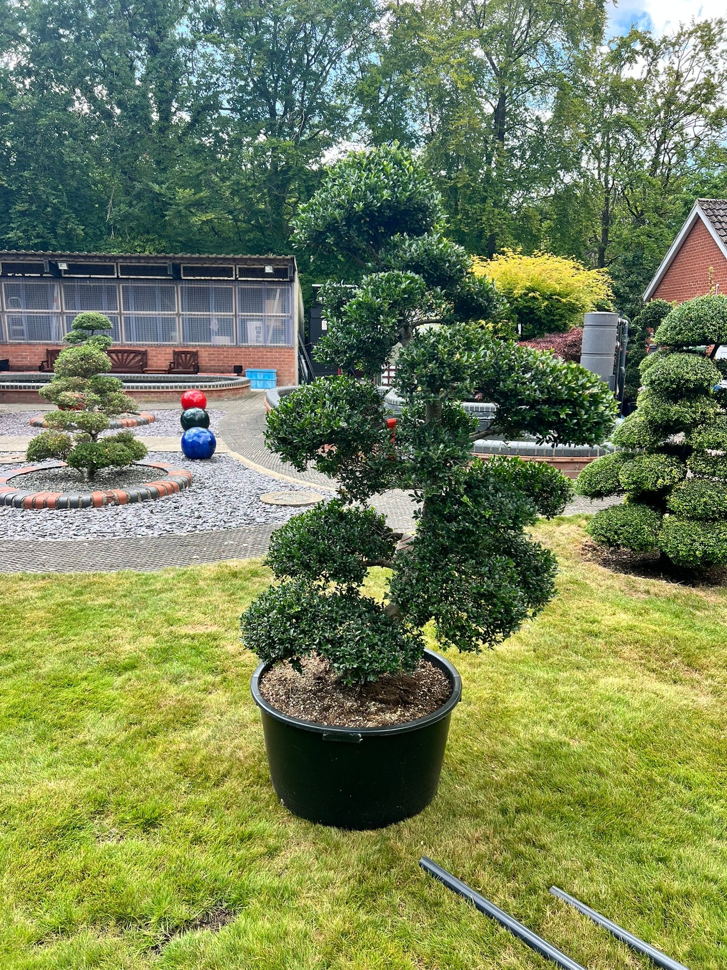 Cloud Tree 1 - 160cm