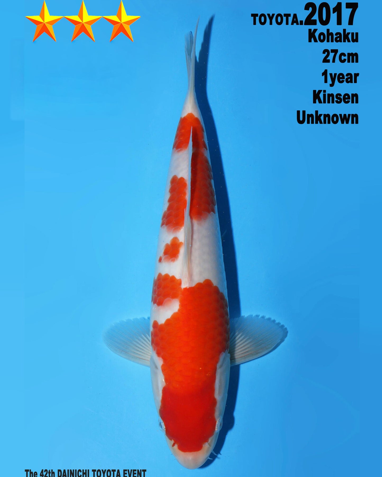 Kohaku