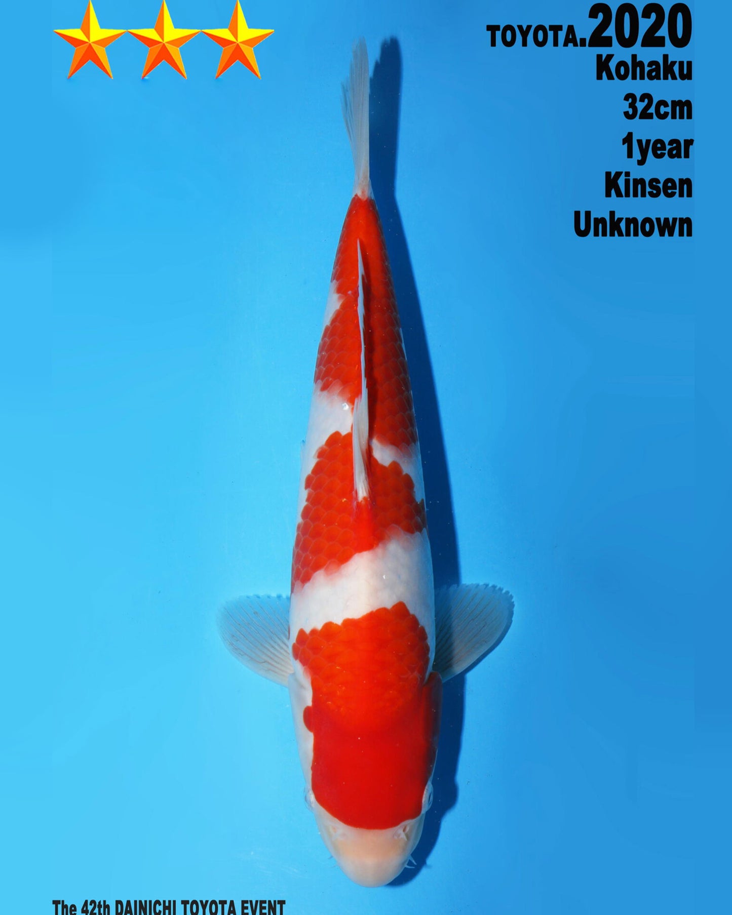 Kohaku
