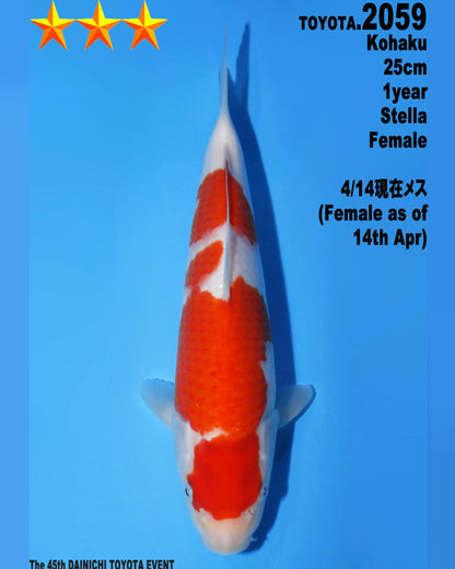 Kohaku