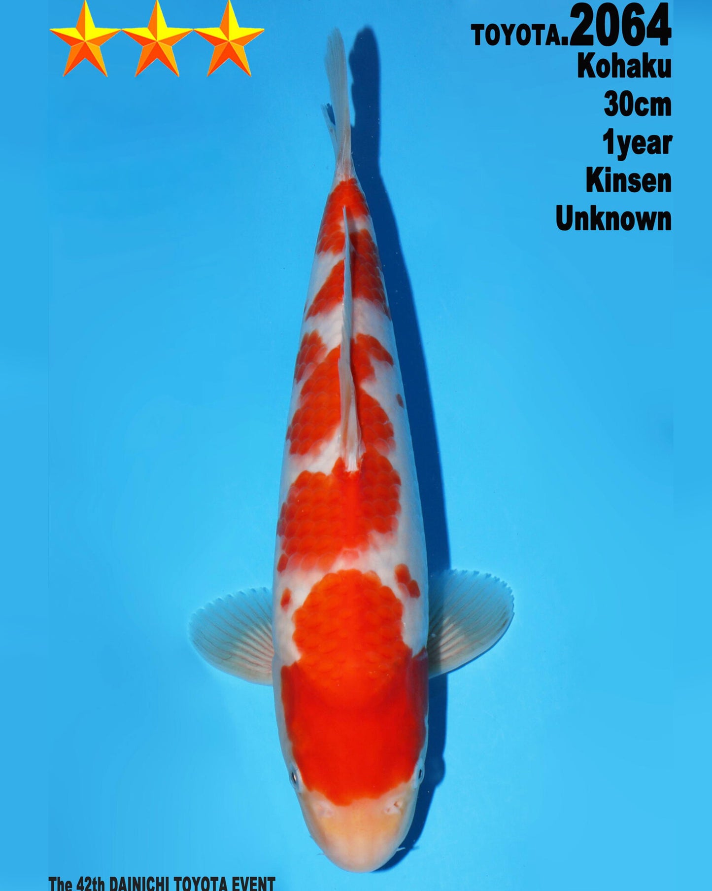 Kohaku