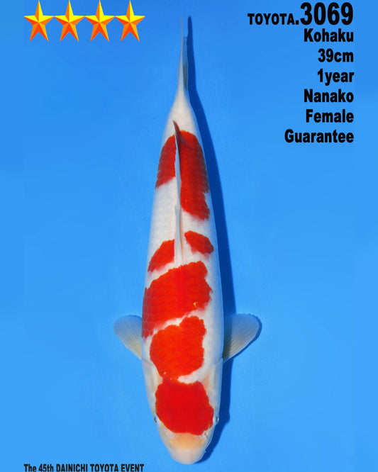 Kohaku