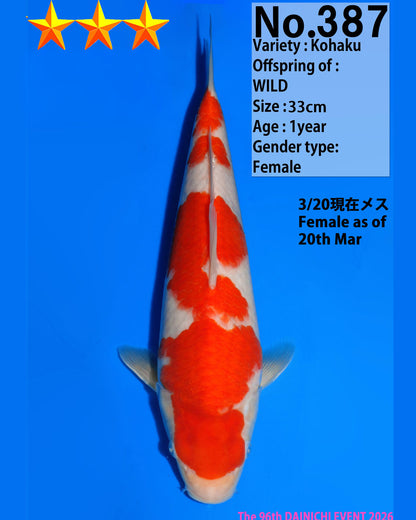 kohaku