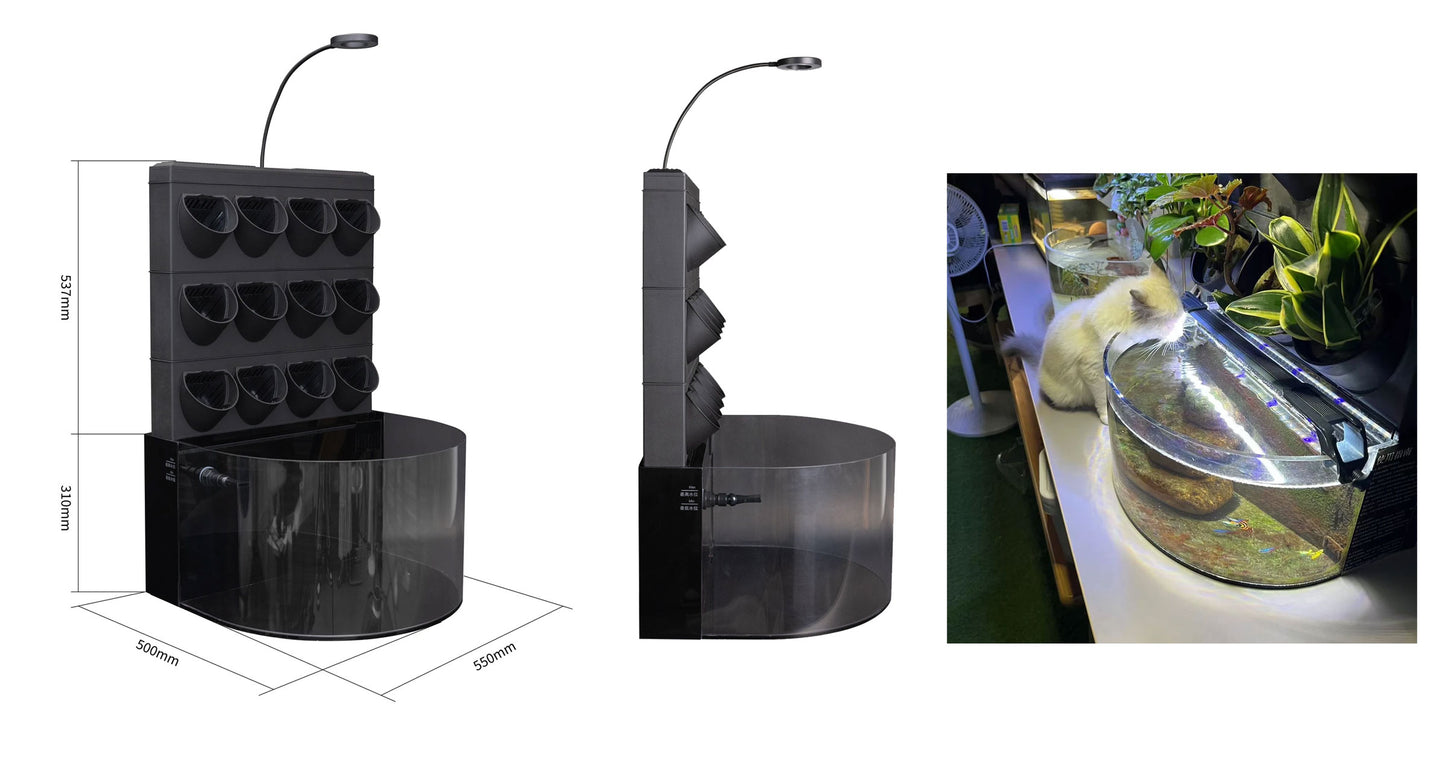 SNG Ecosystem-Desktop - complete set