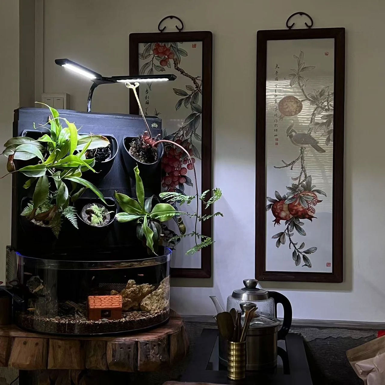 SNG Ecosystem-Desktop - complete set