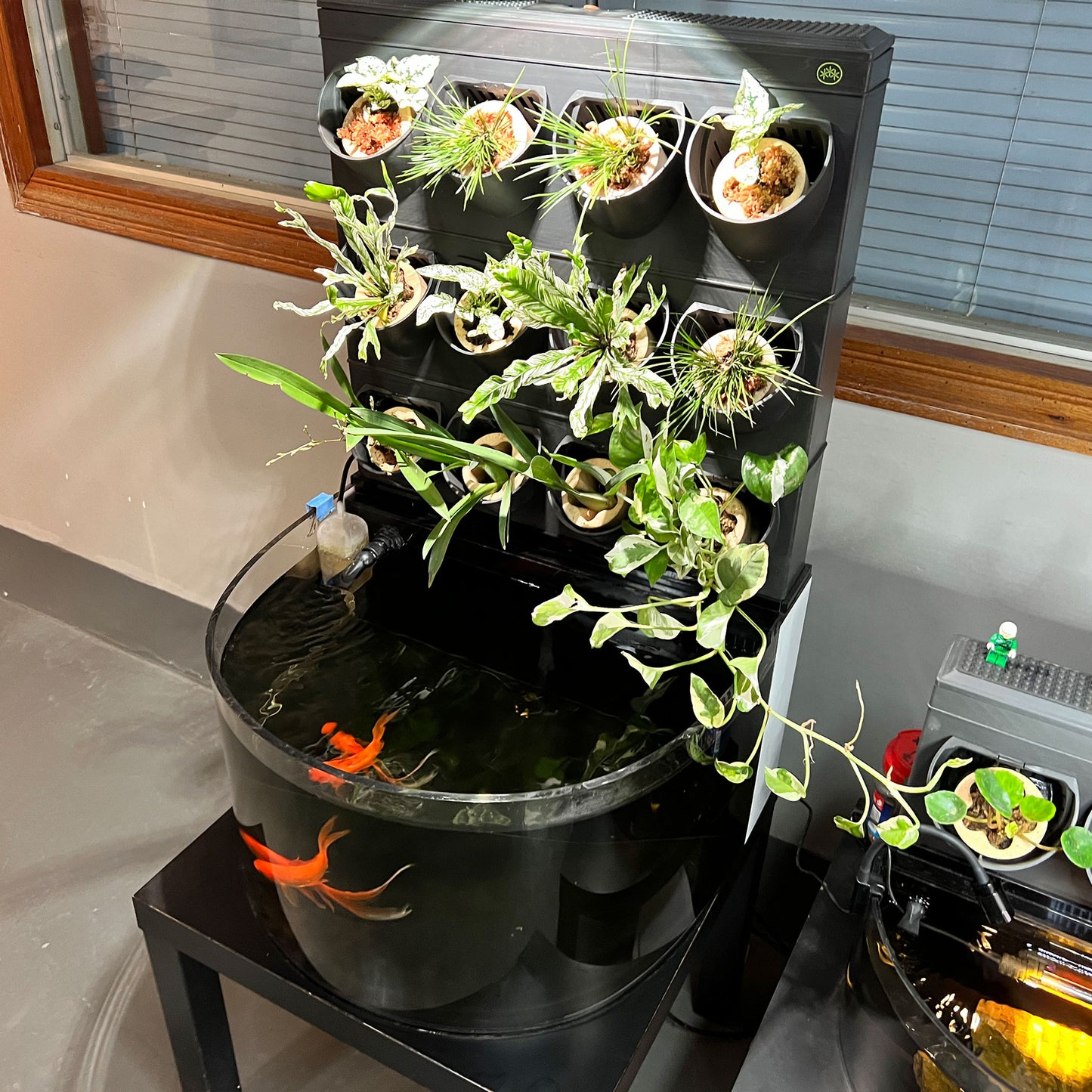 SNG Ecosystem-Desktop - complete set