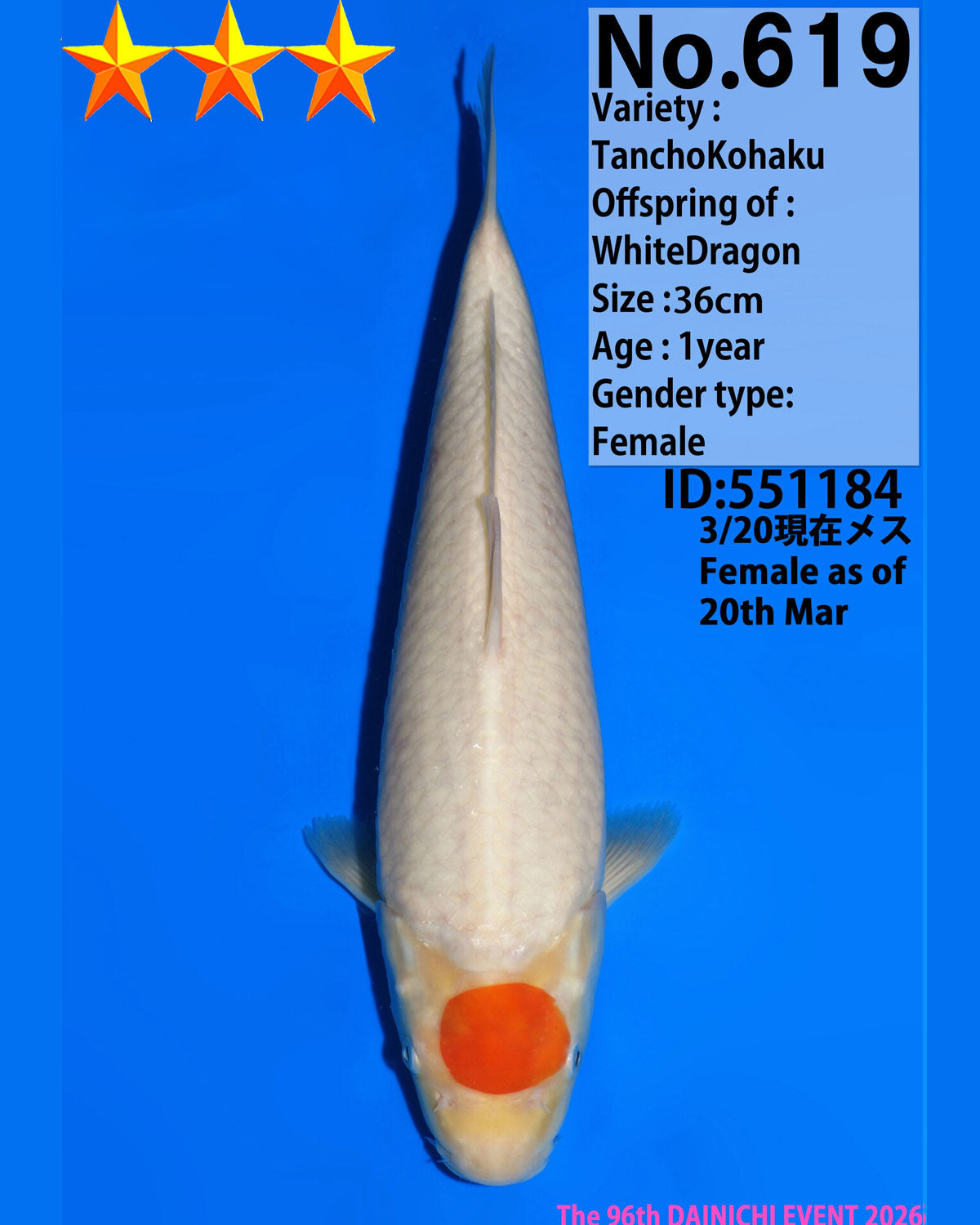 Tancho Kohaku