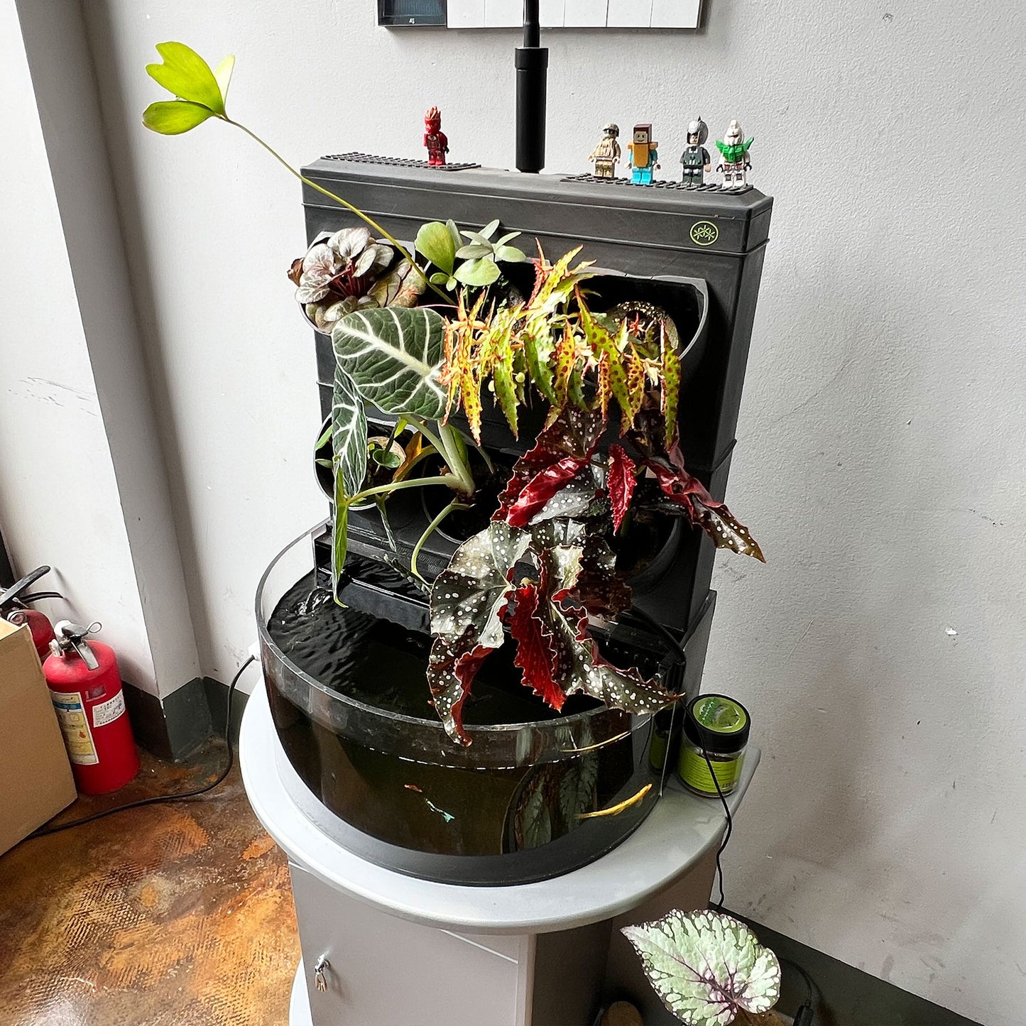 SNG Ecosystem-Desktop - complete set