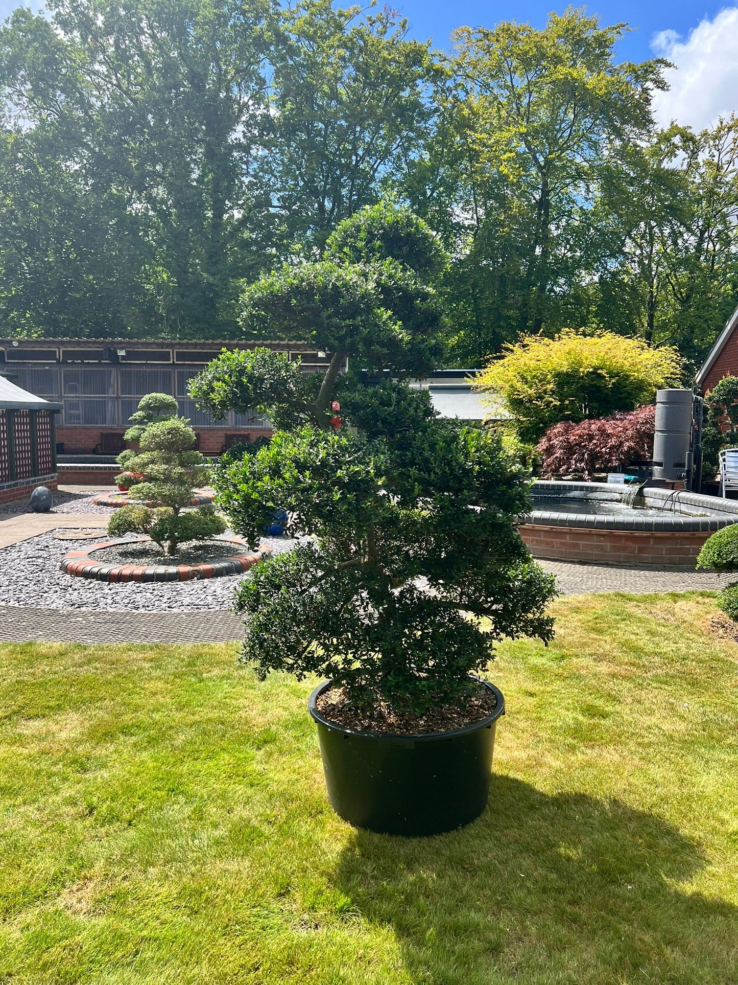 Cloud Tree 6 - 162cm