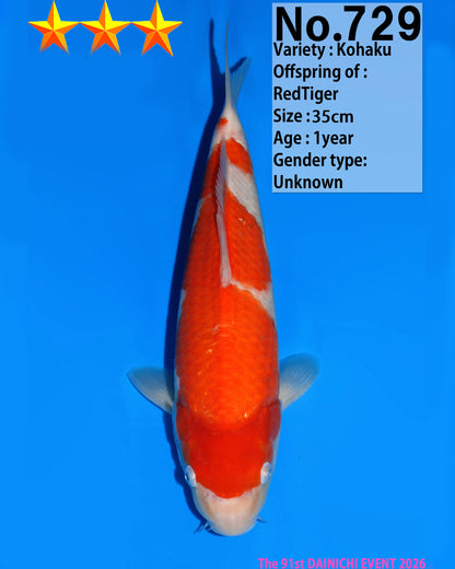 Kohaku
