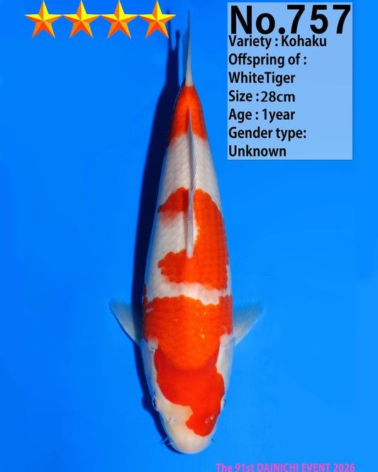 Kohaku