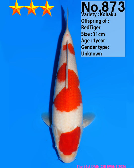 Kohaku