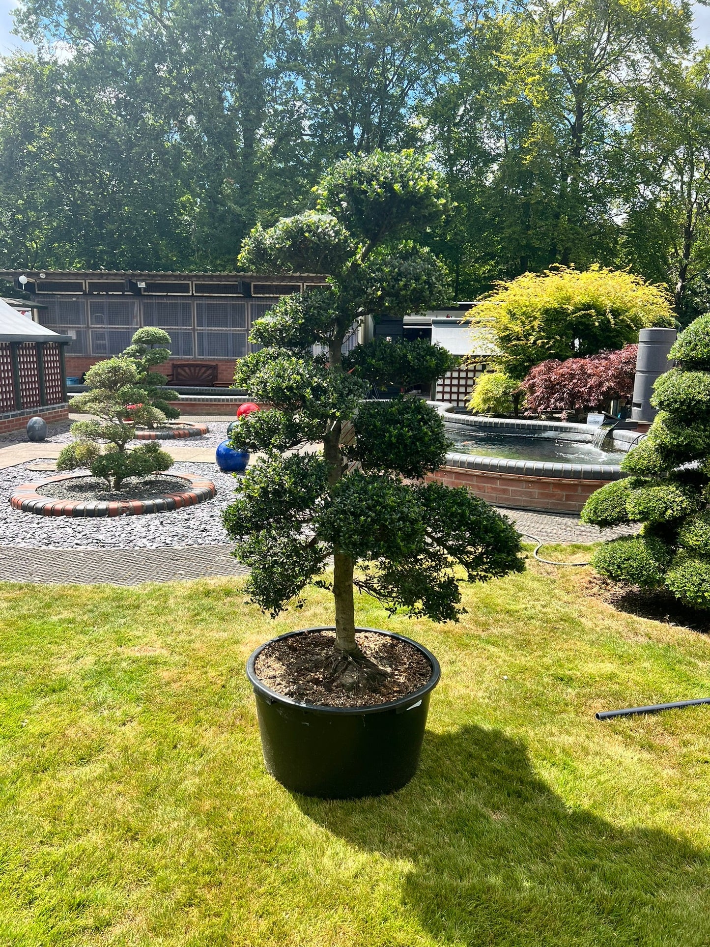 Cloud Tree 9 - 165cm