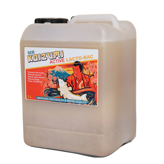 Mr Koizumi - LACTO BAC 5ltr