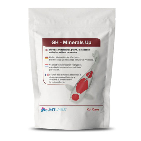 NT Labs GH - Minerals Up 5kg