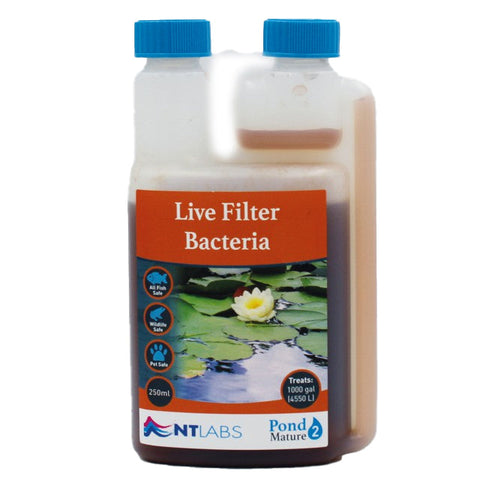 NT Labs Live Filter Bacteria 1ltr