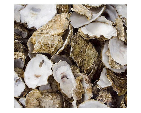 Oyster Shell in Net Bag 5kg - Selective Koi Sales
